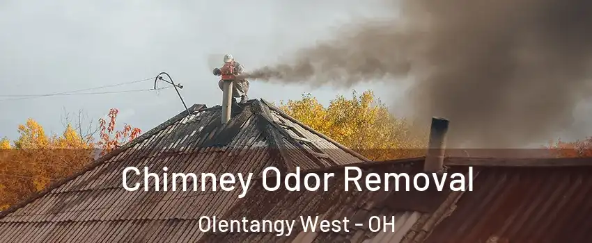 Chimney Odor Removal Olentangy West - OH