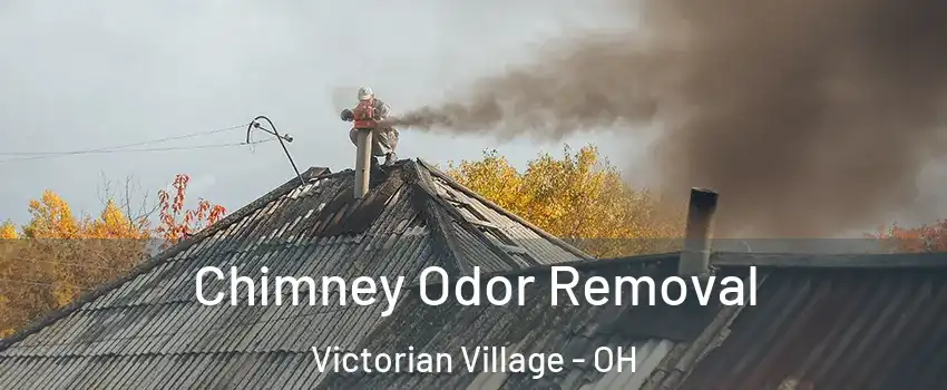 Chimney Odor Removal Victorian Village - OH