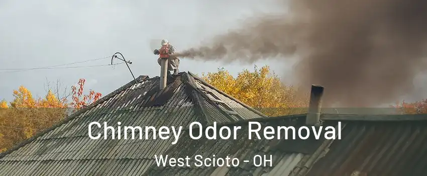 Chimney Odor Removal West Scioto - OH