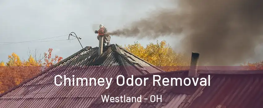 Chimney Odor Removal Westland - OH