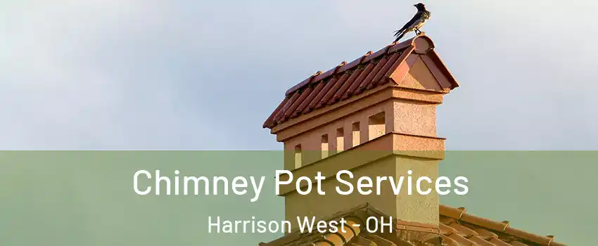 Chimney Pot Services Harrison West - OH