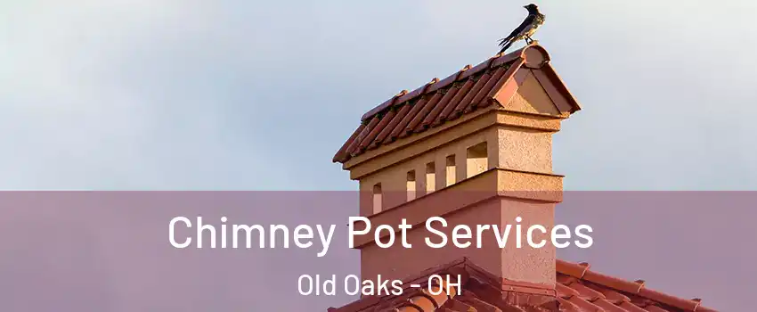 Chimney Pot Services Old Oaks - OH