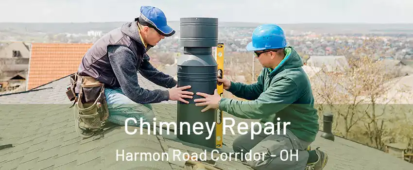 Chimney Repair Harmon Road Corridor - OH