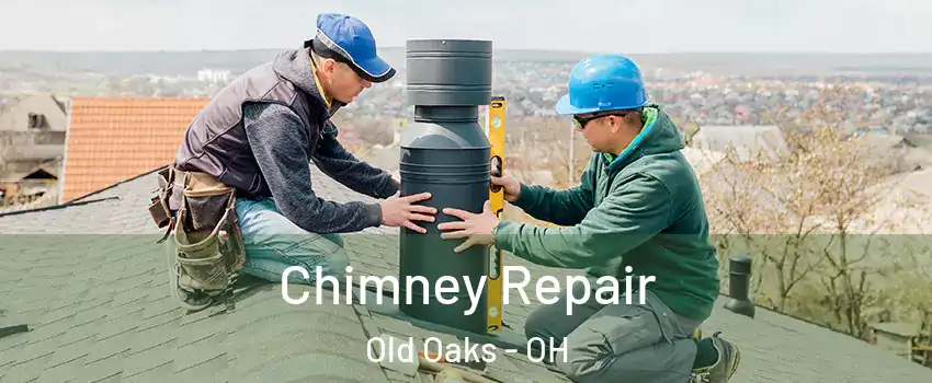 Chimney Repair Old Oaks - OH