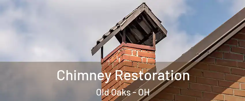 Chimney Restoration Old Oaks - OH