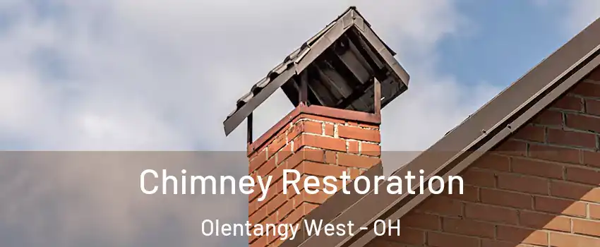 Chimney Restoration Olentangy West - OH