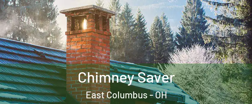 Chimney Saver East Columbus - OH