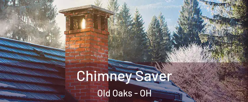 Chimney Saver Old Oaks - OH