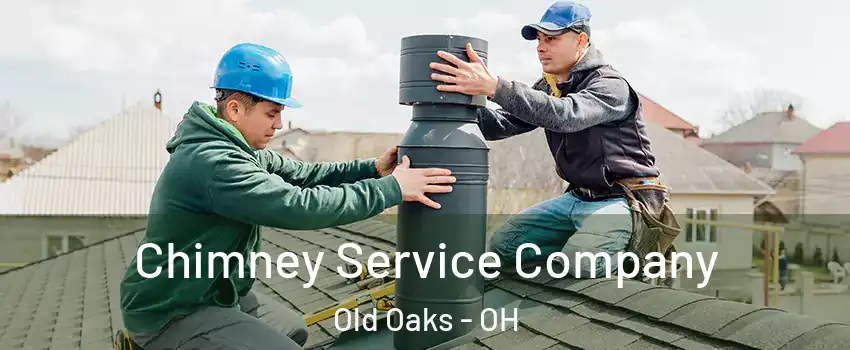 Chimney Service Company Old Oaks - OH