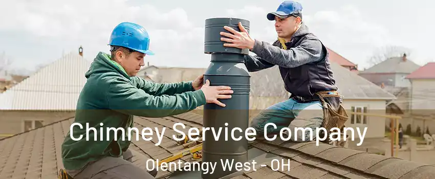 Chimney Service Company Olentangy West - OH