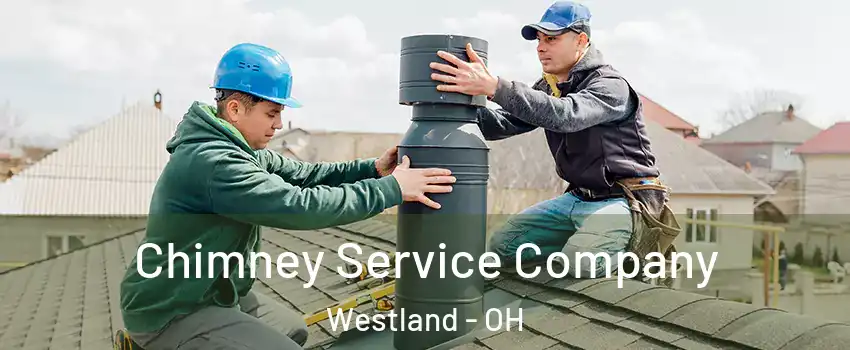 Chimney Service Company Westland - OH