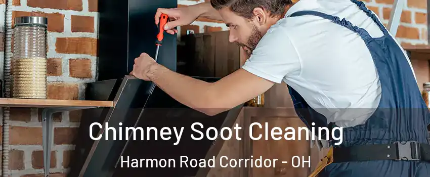 Chimney Soot Cleaning Harmon Road Corridor - OH