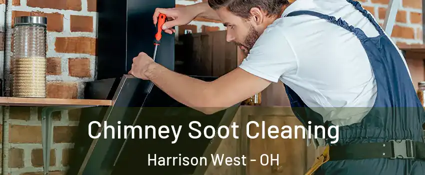 Chimney Soot Cleaning Harrison West - OH