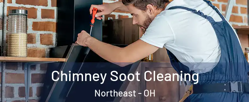 Chimney Soot Cleaning Northeast - OH