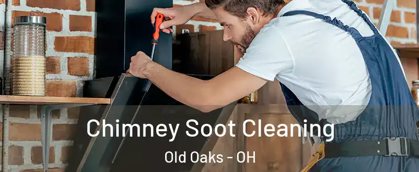 Chimney Soot Cleaning Old Oaks - OH