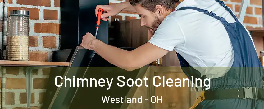 Chimney Soot Cleaning Westland - OH