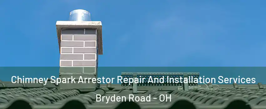 Chimney Spark Arrestor Repair And Installation Services Bryden Road - OH