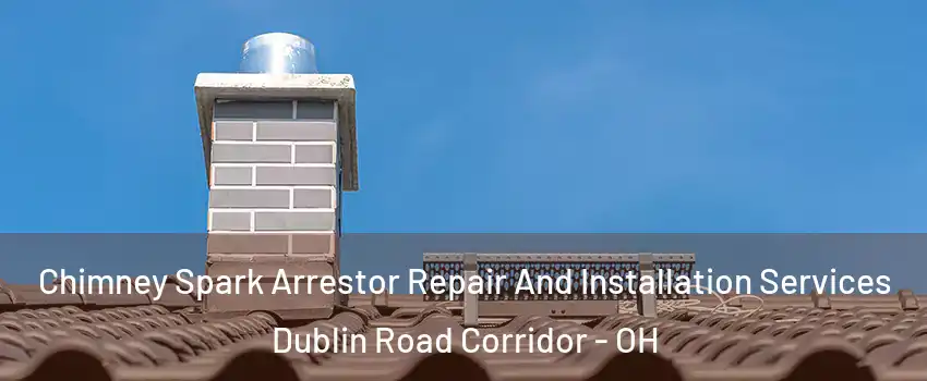 Chimney Spark Arrestor Repair And Installation Services Dublin Road Corridor - OH