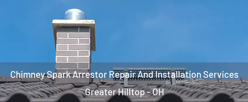 Chimney Spark Arrestor Repair And Installation Services Greater Hilltop - OH