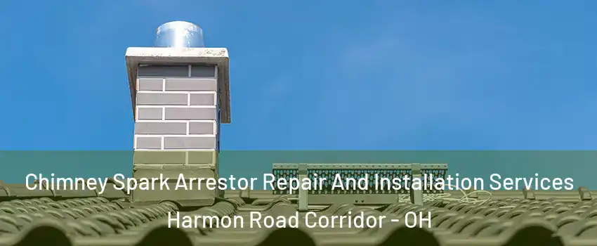 Chimney Spark Arrestor Repair And Installation Services Harmon Road Corridor - OH