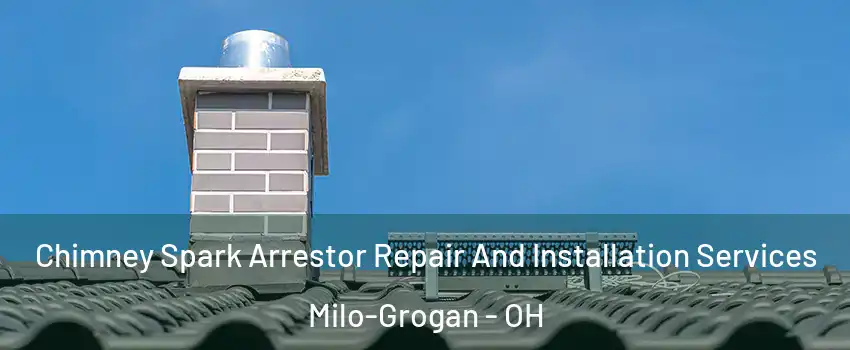 Chimney Spark Arrestor Repair And Installation Services Milo-Grogan - OH