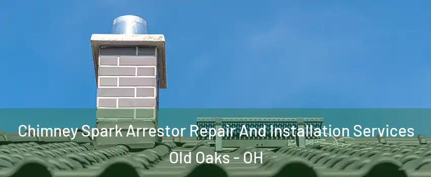 Chimney Spark Arrestor Repair And Installation Services Old Oaks - OH