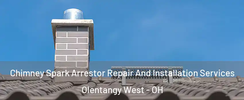 Chimney Spark Arrestor Repair And Installation Services Olentangy West - OH