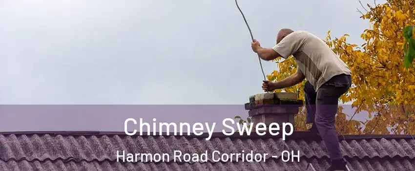 Chimney Sweep Harmon Road Corridor - OH