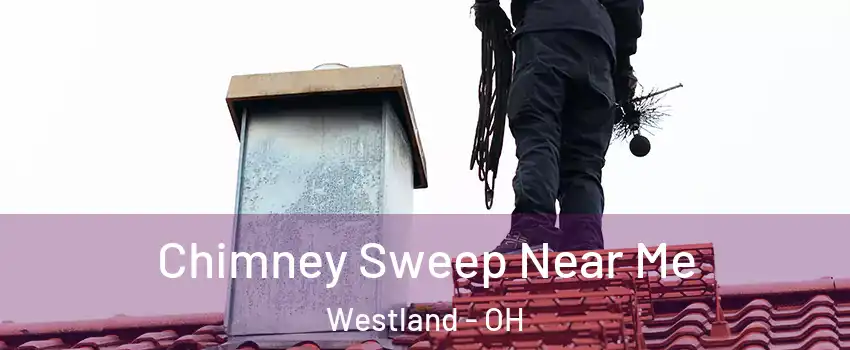 Chimney Sweep Near Me Westland - OH