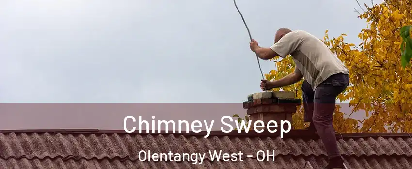 Chimney Sweep Olentangy West - OH