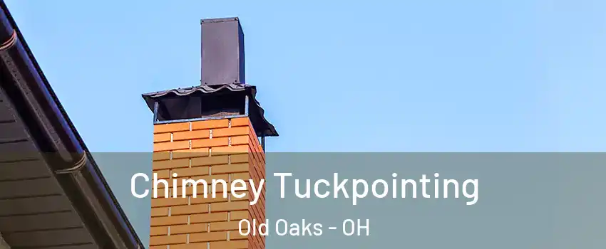 Chimney Tuckpointing Old Oaks - OH