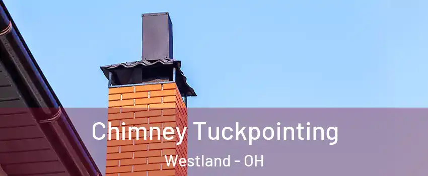 Chimney Tuckpointing Westland - OH