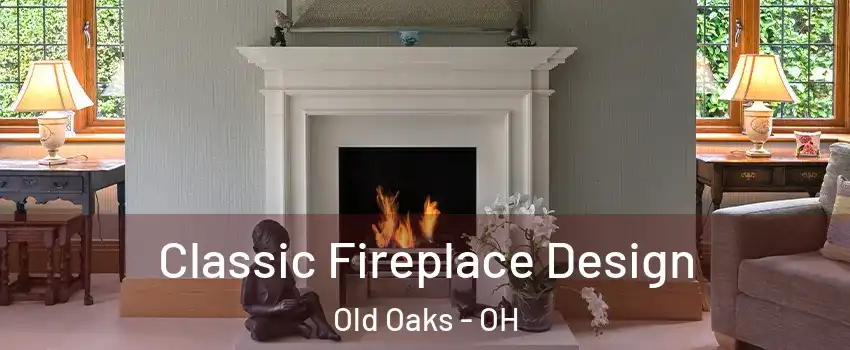 Classic Fireplace Design Old Oaks - OH