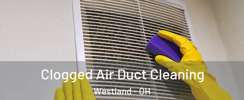 Clogged Air Duct Cleaning Westland - OH