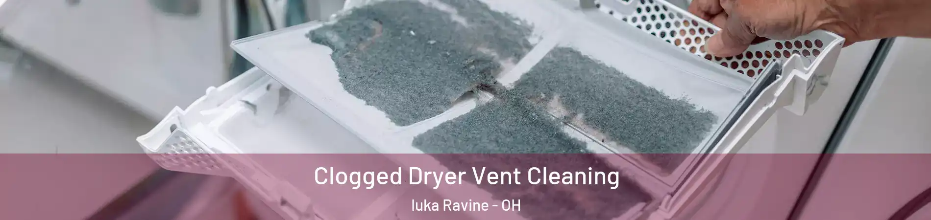 Clogged Dryer Vent Cleaning Iuka Ravine - OH