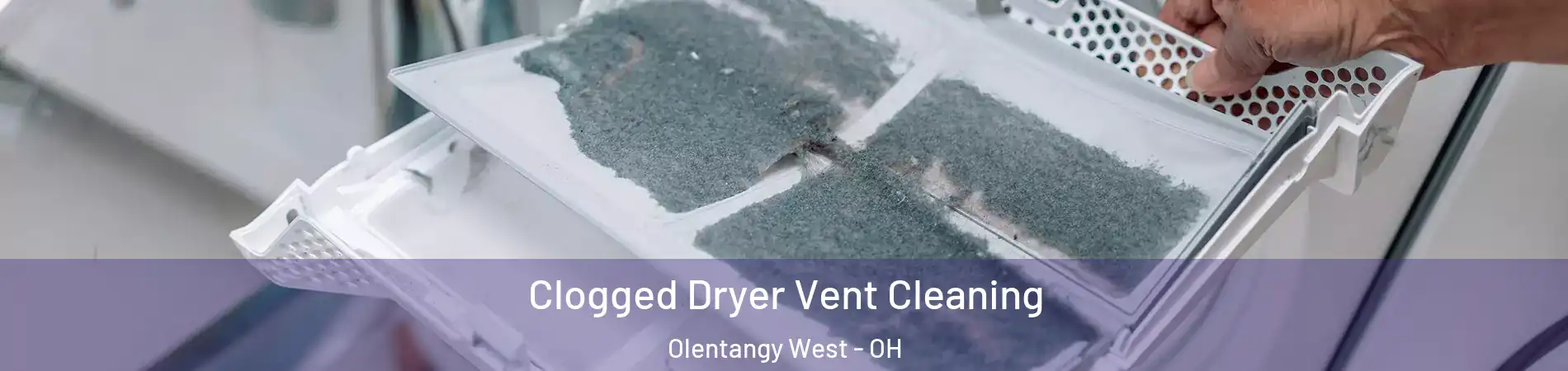 Clogged Dryer Vent Cleaning Olentangy West - OH