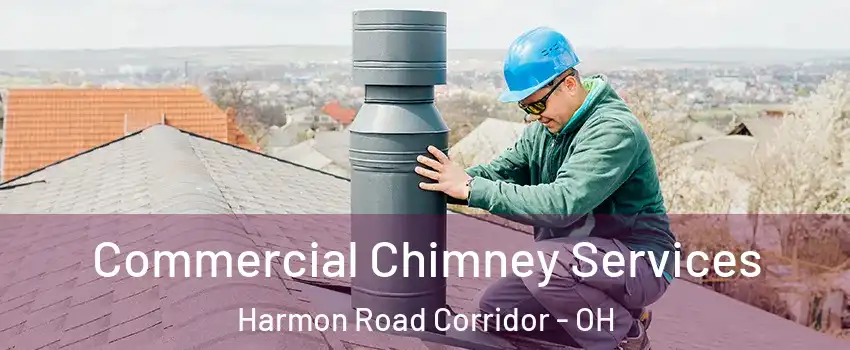 Commercial Chimney Services Harmon Road Corridor - OH