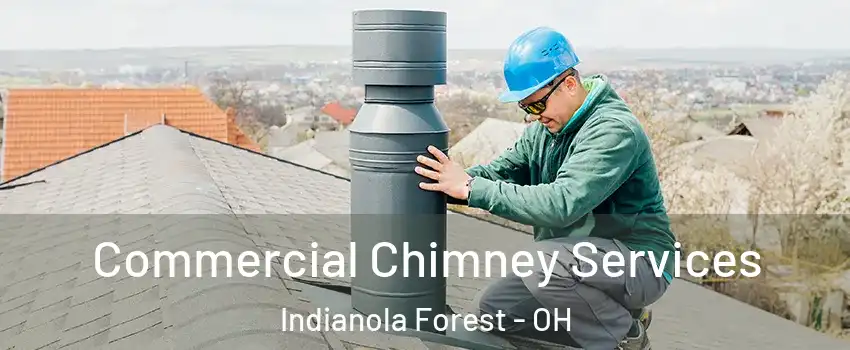 Commercial Chimney Services Indianola Forest - OH