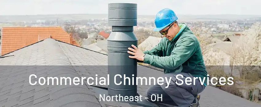 Commercial Chimney Services Northeast - OH