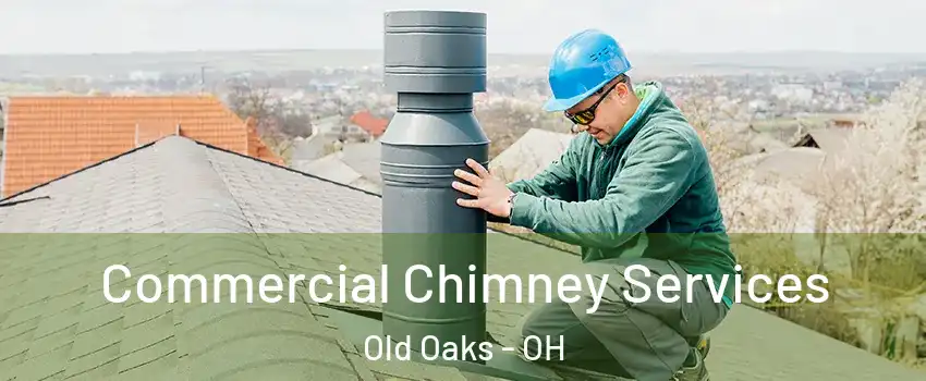 Commercial Chimney Services Old Oaks - OH