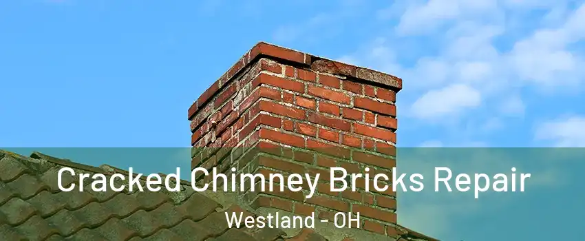 Cracked Chimney Bricks Repair Westland - OH