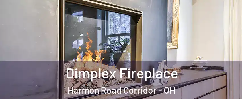 Dimplex Fireplace Harmon Road Corridor - OH