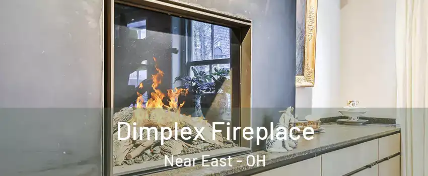 Dimplex Fireplace Near East - OH