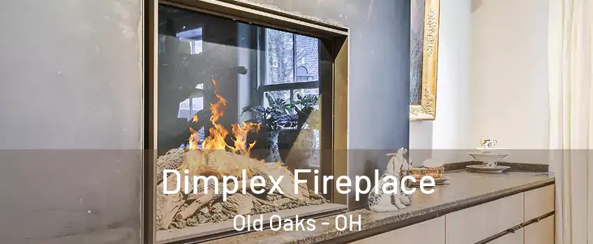 Dimplex Fireplace Old Oaks - OH