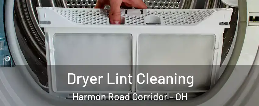 Dryer Lint Cleaning Harmon Road Corridor - OH