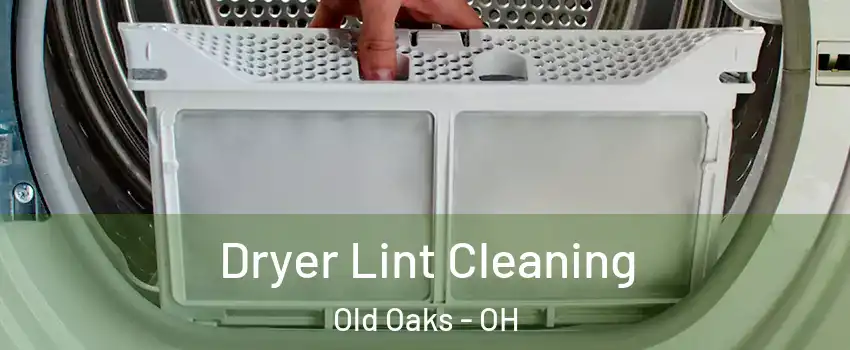 Dryer Lint Cleaning Old Oaks - OH