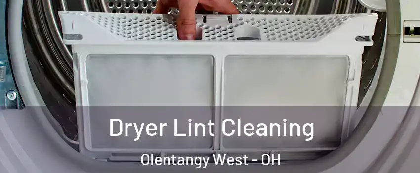 Dryer Lint Cleaning Olentangy West - OH