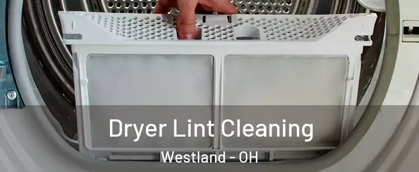 Dryer Lint Cleaning Westland - OH