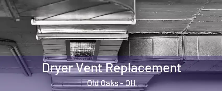 Dryer Vent Replacement Old Oaks - OH