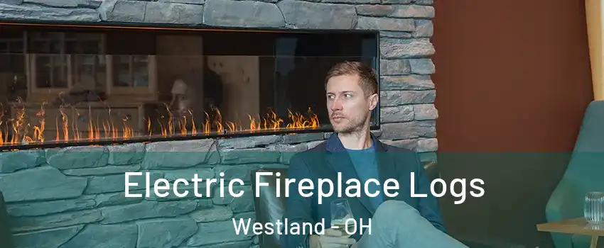 Electric Fireplace Logs Westland - OH